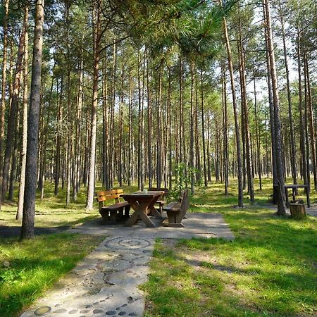 Forest Cottage Neringa Exterior foto